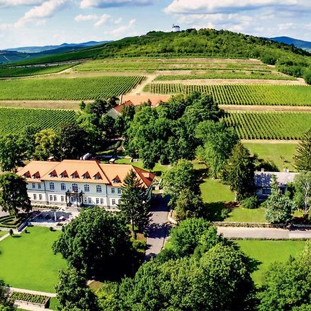 Castle Hotel Grof Degenfeld Tarcal Buitenkant foto