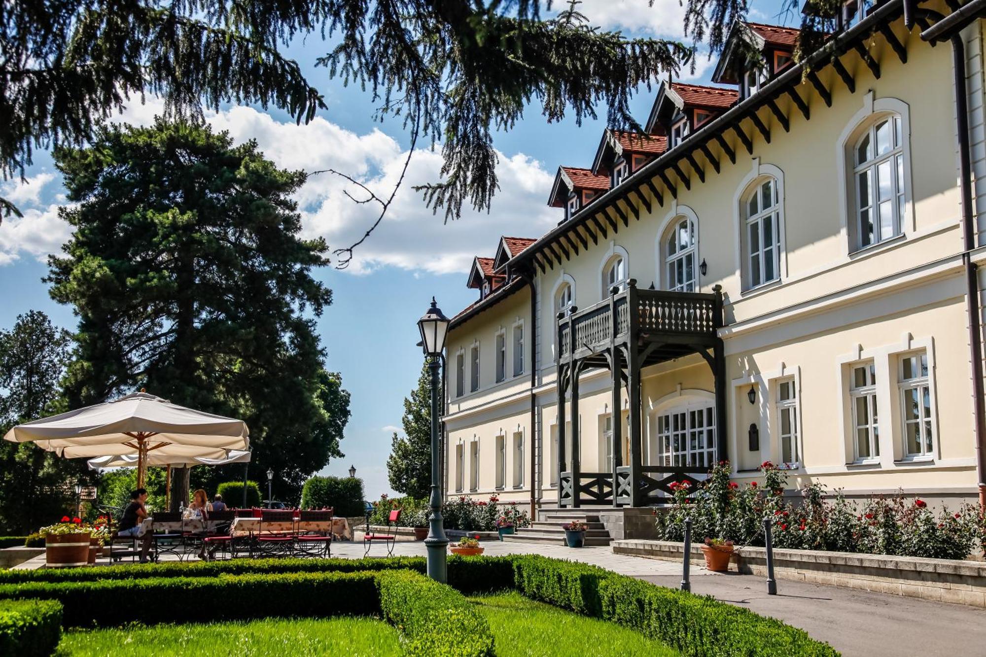 Castle Hotel Grof Degenfeld Tarcal Buitenkant foto