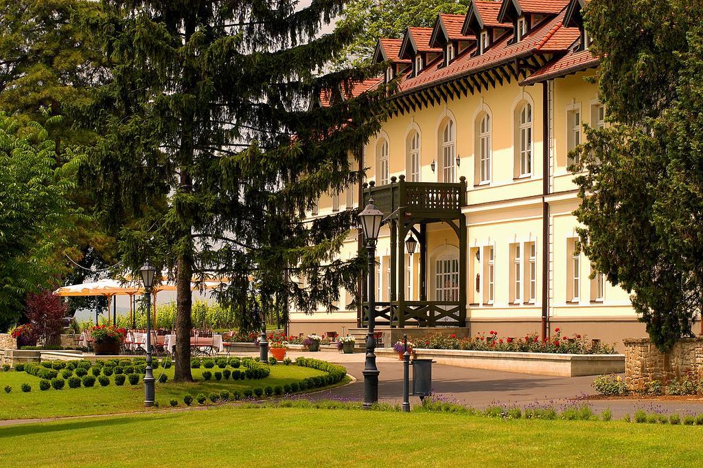 Castle Hotel Grof Degenfeld Tarcal Buitenkant foto