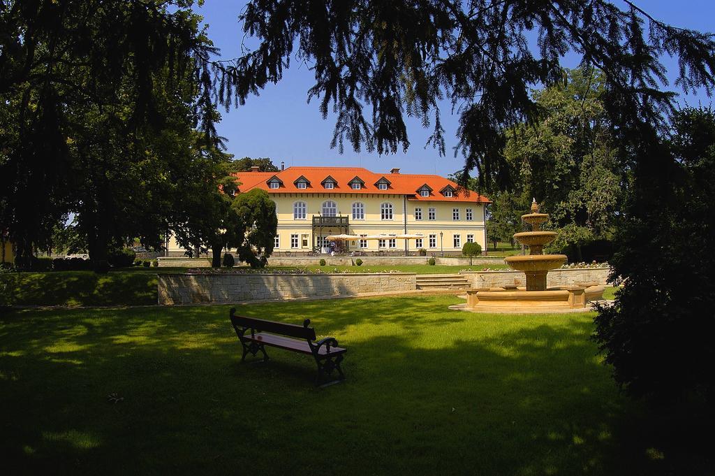 Castle Hotel Grof Degenfeld Tarcal Buitenkant foto